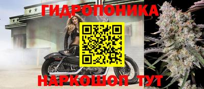 ГАЛЛЮЦИНОГЕННЫЕ ГРИБЫ Кунгур