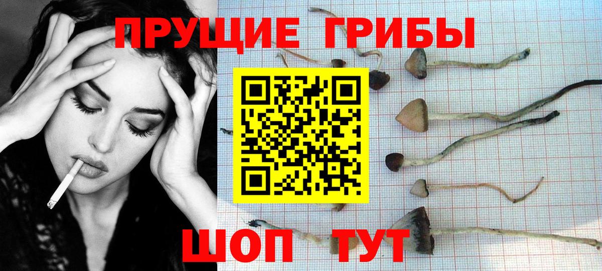 Галлюциногенные грибы GOLDEN TEACHER Кизляр