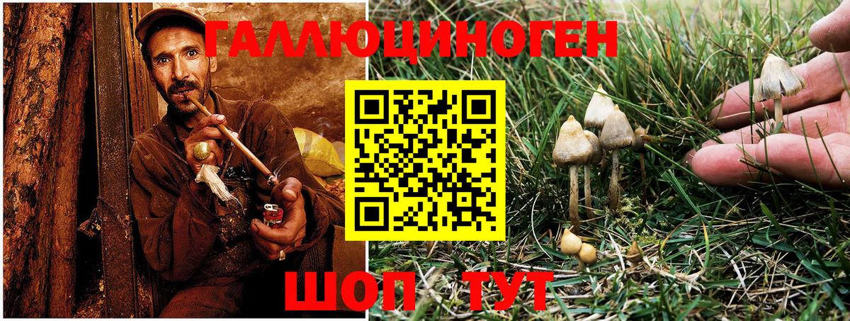 Галлюциногенные грибы Cubensis  дарнет шоп  Кизляр  Вход с VPN 